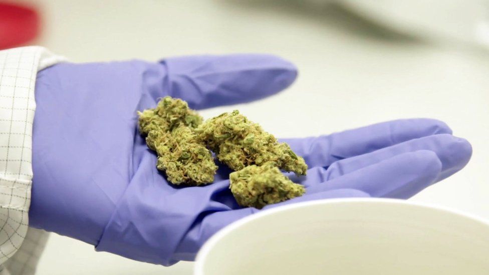 Buying Medical Cannabis