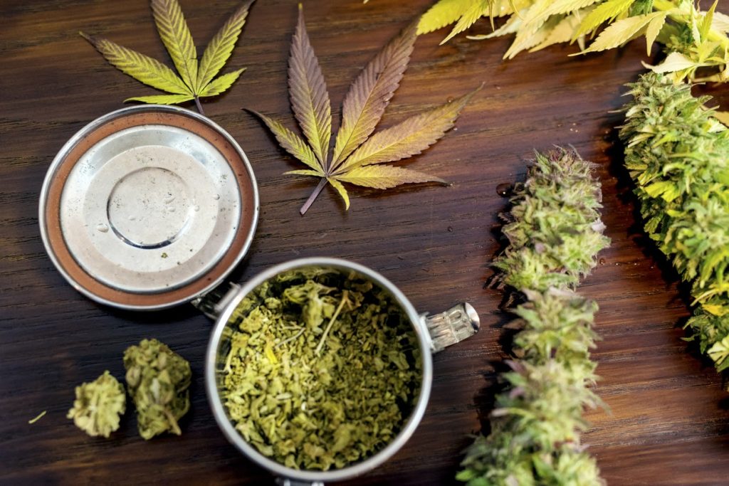Marijuana Cannabis